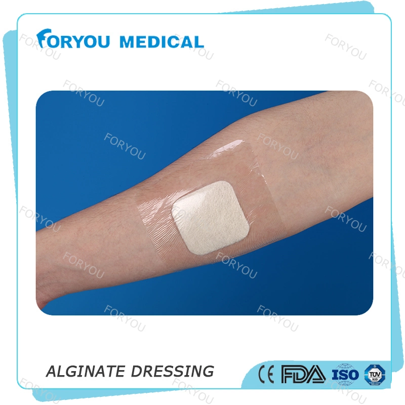 Huizhou Foryou Medical 2g Alginate Pad Wound Dressing Alginate Gel Dressing Calcium